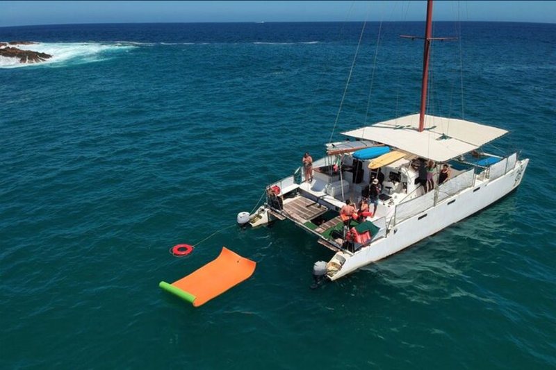 50 foot sailing catamaran for group day charters in Cabo San Lucas
